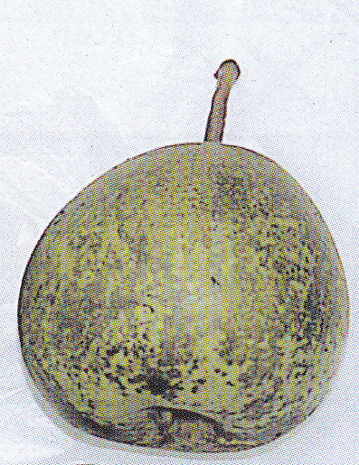 Roetvlekkenziekte